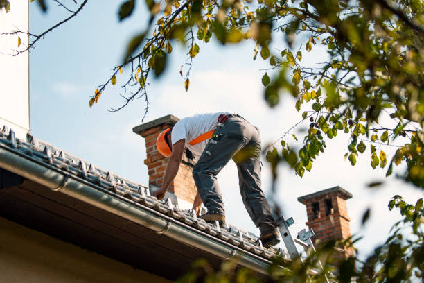 Best Commercial Roofing Services  in Kulpmont, PA