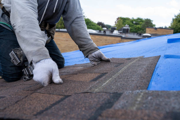 Quick and Trustworthy Emergency Roof Repair Services in Kulpmont, PA