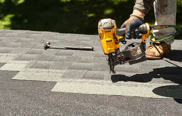 Best Storm Damage Roof Repair  in Kulpmont, PA