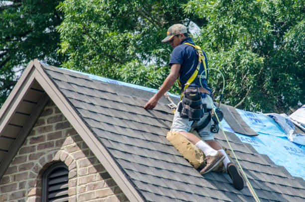 Best Storm Damage Roof Repair  in Kulpmont, PA